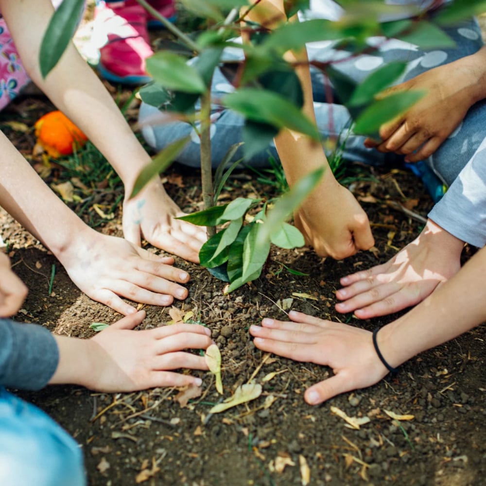 Terra pathway, children planting a tree